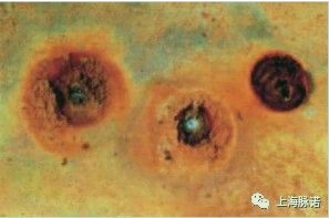 蒸汽滅菌器不銹鋼表面資訊(第二期)